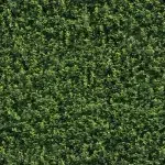 Leaves DECOR-1 - Image 2