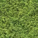Leaves DECOR-3 - Image 2