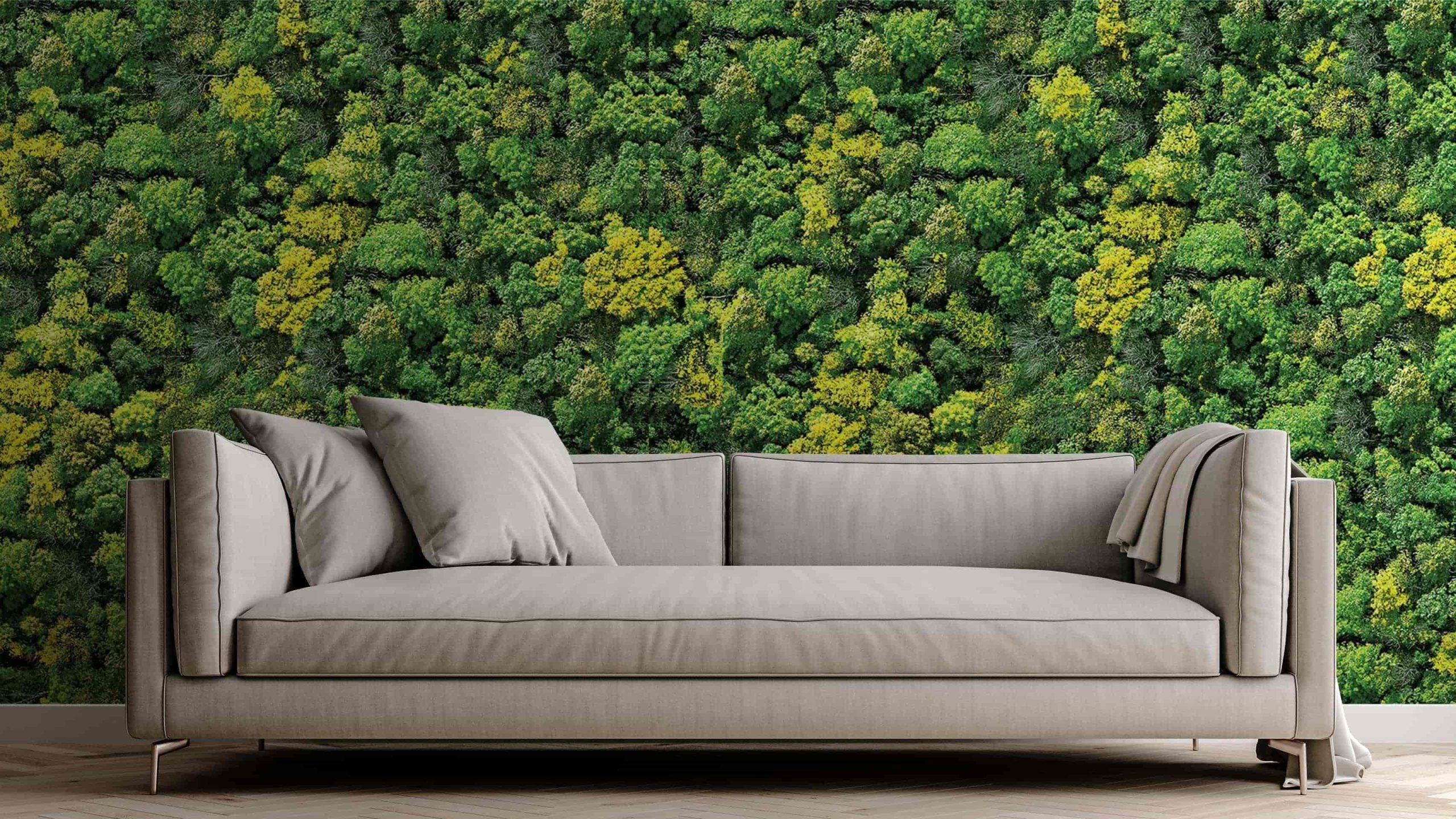 white concrete mock-up wall with white fabric sofa and pillows, Leaves DECCOR-0008 - Image 1