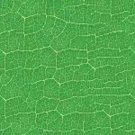 Leaves DECOR-39 - Image 2