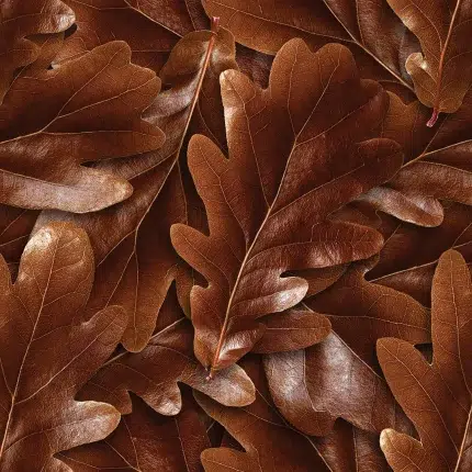 Leaves DECCOR-31 - Wallmood wallpaper