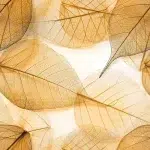 Leaves DECOR-49 - Image 2