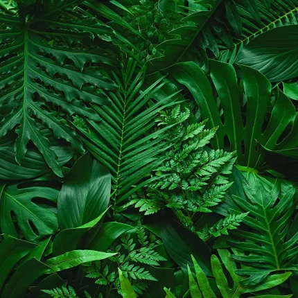 Leaves DECOR-51 - Wallmood wallpaper