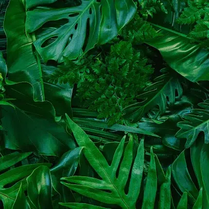 Leaves DECOR-51 - Wallmood wallpaper