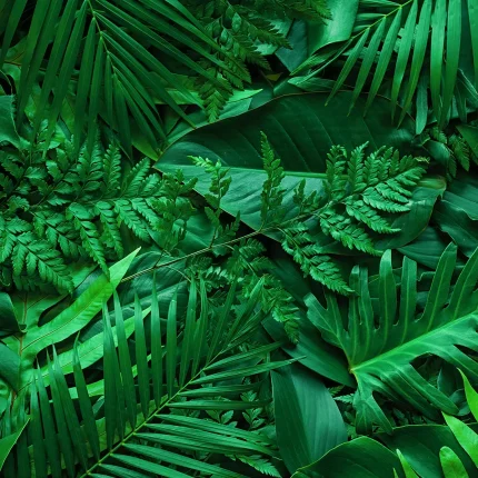 Leaves DECOR-51 - Wallmood wallpaper