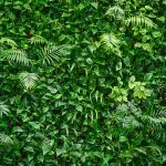 Leaves DECOR-58 - Image 2