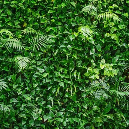 Leaves DECOR-51 - Wallmood wallpaper