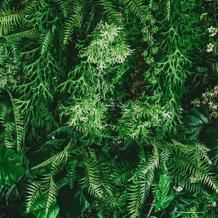 Leaves DECOR-51 - Wallmood wallpaper