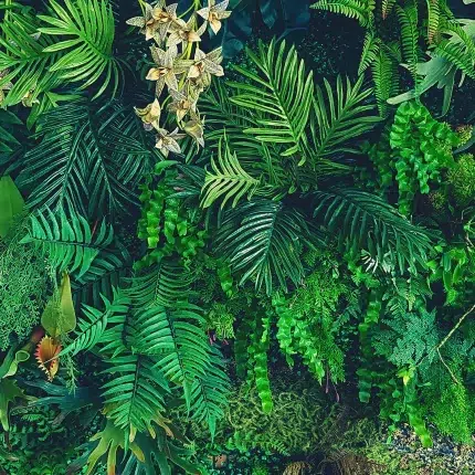 Leaves DECOR-51 - Wallmood wallpaper