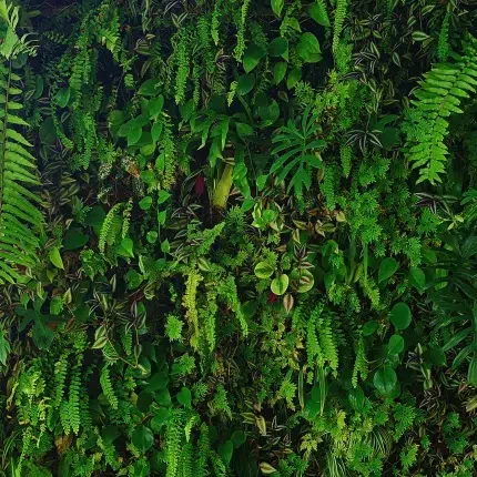 Leaves DECOR-51 - Wallmood wallpaper