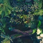 Leaves DECOR-64 - Image 2