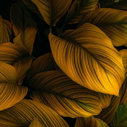Leaves DECOR-81 - Wallmood wallpaper