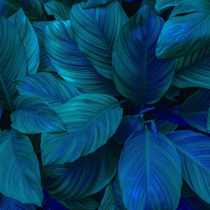 Leaves DECOR-81 - Wallmood wallpaper