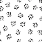 Animal SD31 - Image 2