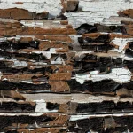 Wood SD 16 - Image 2