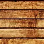 Wood SD 18 - Image 2