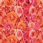 Floral1 SDF31 - Image 2