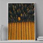 Autumn Rhythm