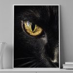 Golden Gaze