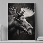 Northern Spirit