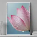 Petal Serenity