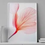 Feather Petal