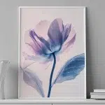 Soft Iris