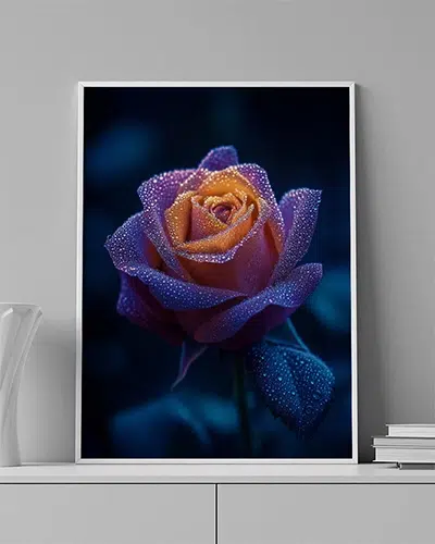 FLOWER-0014-MOCKUP Midnight Rose - Image 1