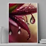 Velvet Bloom