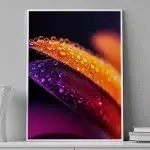 Aurora Petal