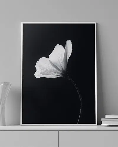 Silent Grace - Wallmood wallpaper