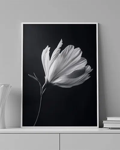 Silent Grace - Wallmood wallpaper