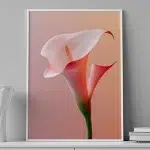 Coral Song