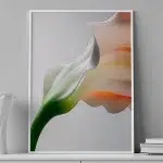 Pure Motion