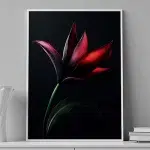 Night Blossom