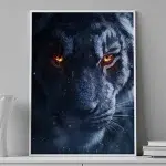 Midnight Gaze