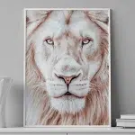 Pure Majesty