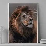 Wind of the Wild