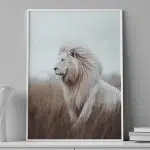 Arctic Spirit