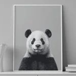 Panda Serenity