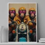 Ride of Wisdom