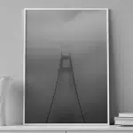 Into the Fog